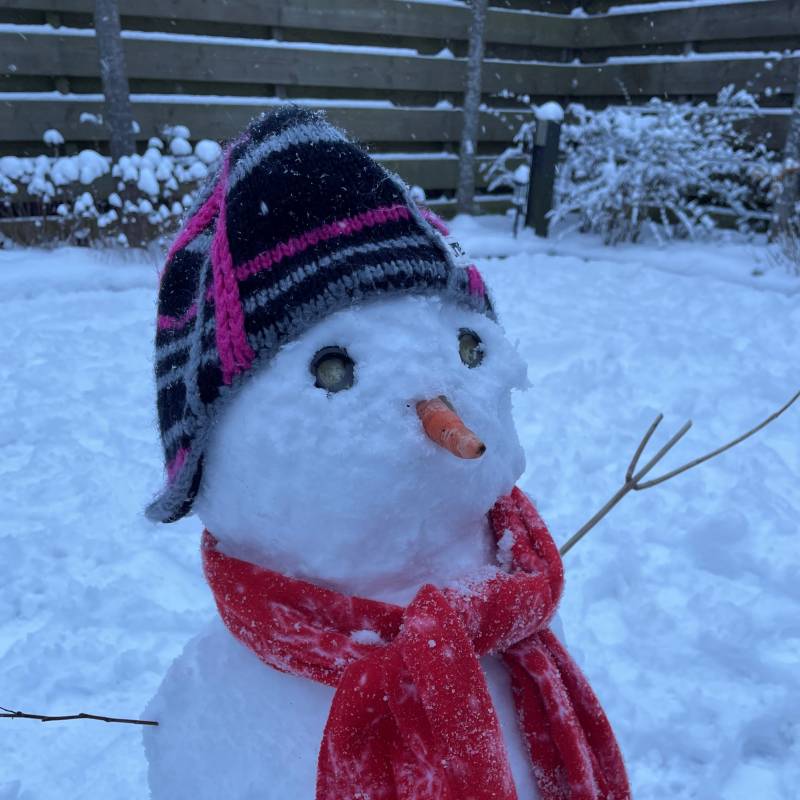 Afbeelding: Actuele omstandigheden over het vervoer